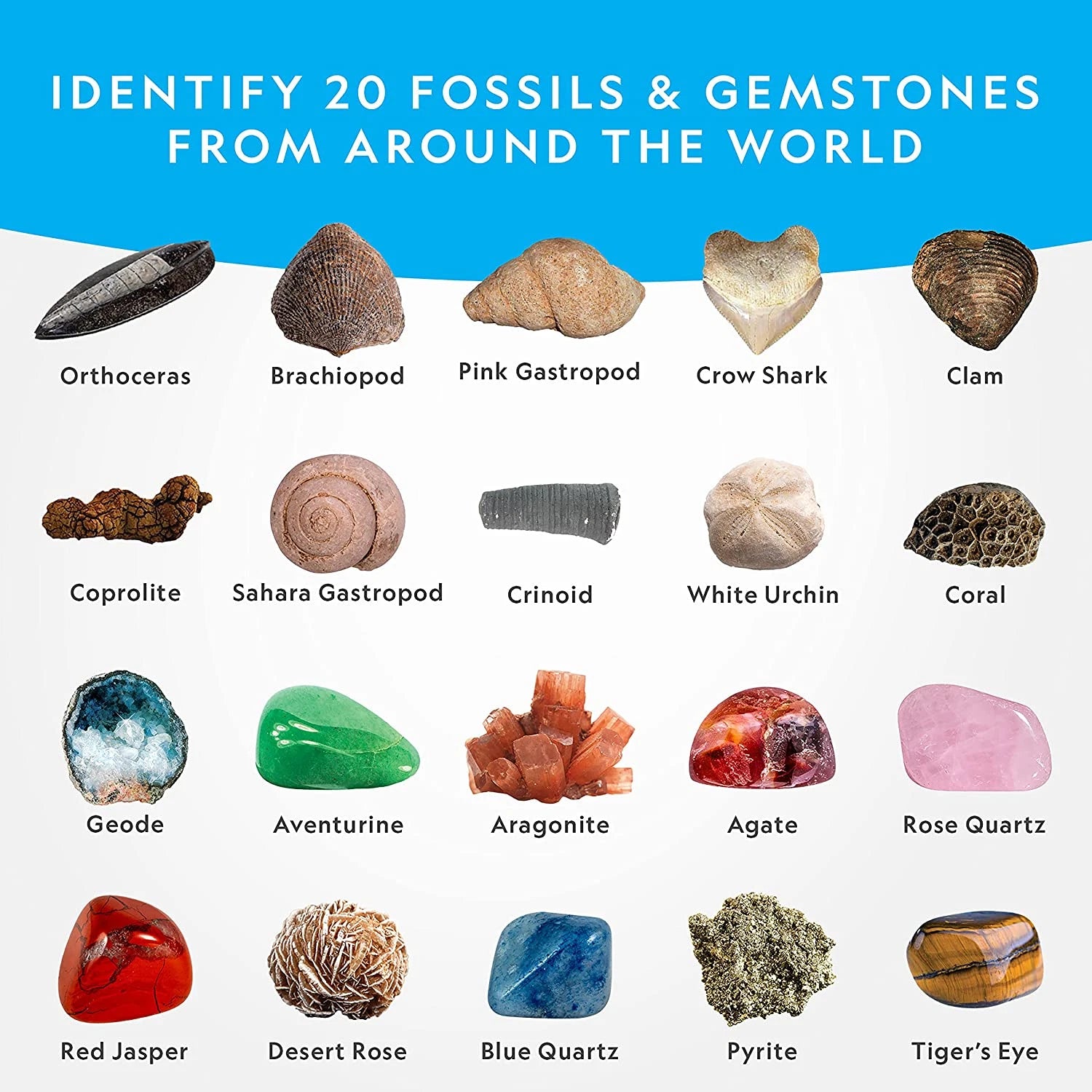 Kids Gem Discovery Kit